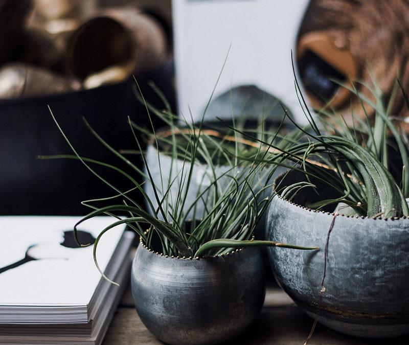 8 New Year Wishes for all Business Leaders